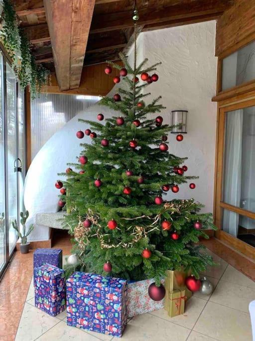 Whole Villa Munich, Alps View, Quiet And Spacious เฟลด์เคอร์เคน-เวสต์ตาฮัม ภายนอก รูปภาพ